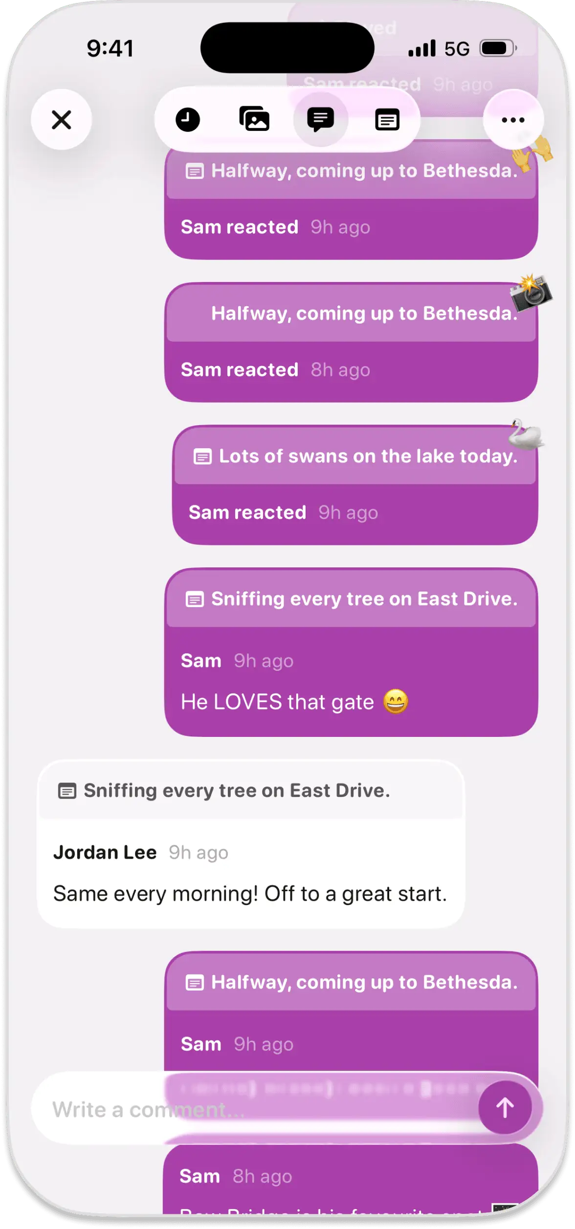 Official Walkies example showing activity updates, reactions and a Write a comment field within a report.